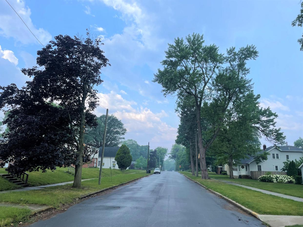 The street canopy looking west from the intersection of Hill and St. Vincent Streets on Thursday, June 29, 2023, in South Bend's Harter Heights neighborhood.