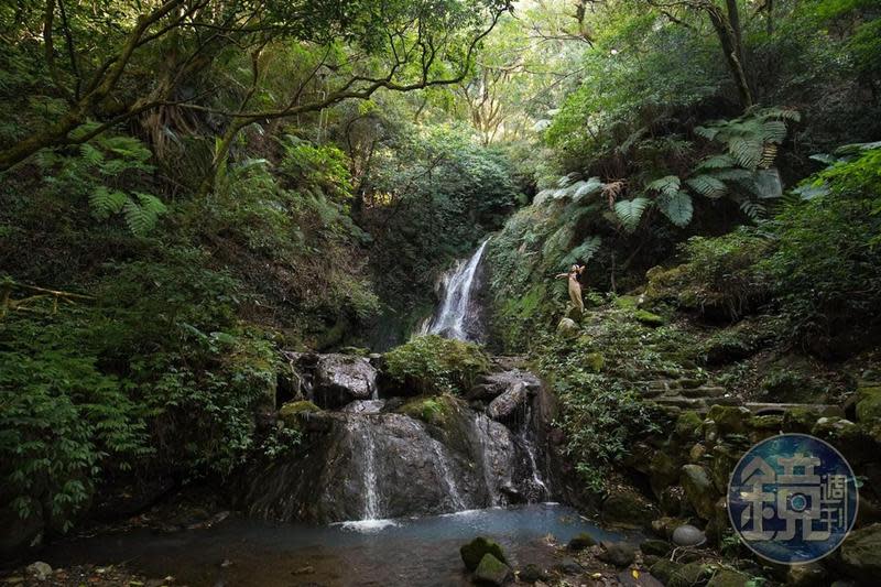 隱身在馬路旁的草山溪流祕境「小隱潭瀑布」，搭公車就能抵達。