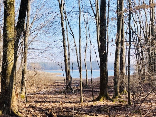 A view of Hardy Lake as seen from trail 6, the Lakeside trail.