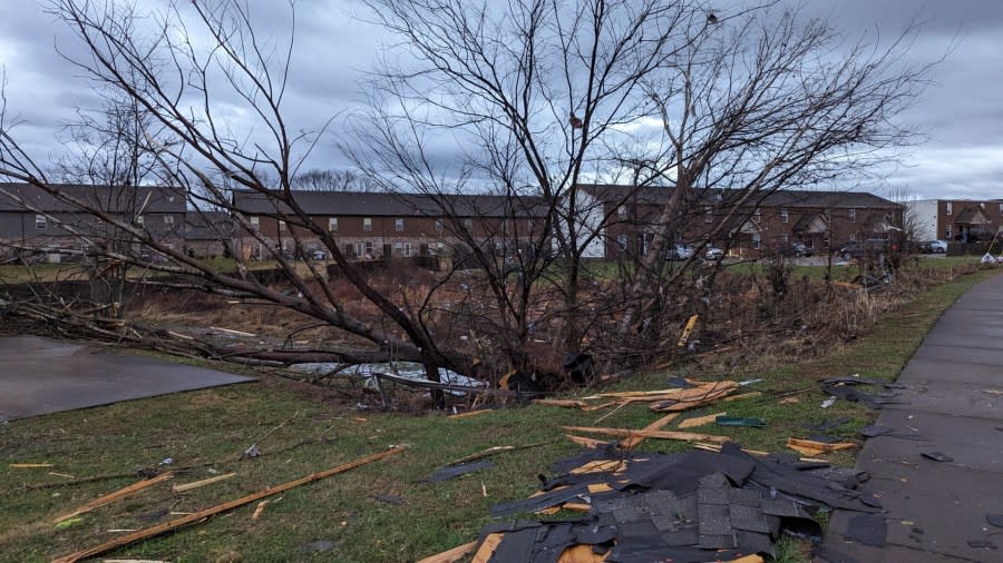 Storm damage along West Creek Coyote Trail in Clarksville (Courtesy: Maranda Whitley)