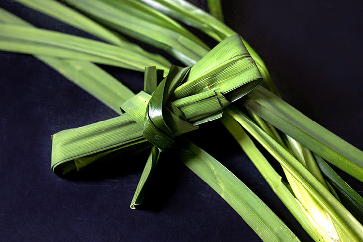 Fresh pandan leaves imbue the curd with an uplifting green colour