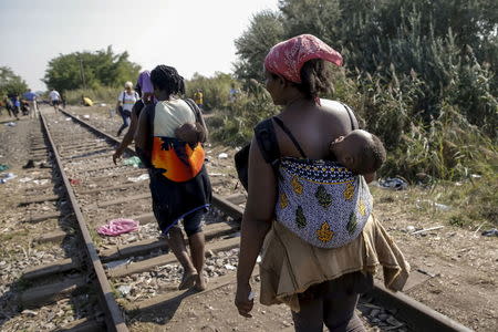 Migrants, hoping to cross into Hungary, walk with babies on their backs along a railway track outside the village of Horgos in Serbia, towards the border it shares with Hungary August 31, 2015. REUTERS/Marko Djurica/File Photo