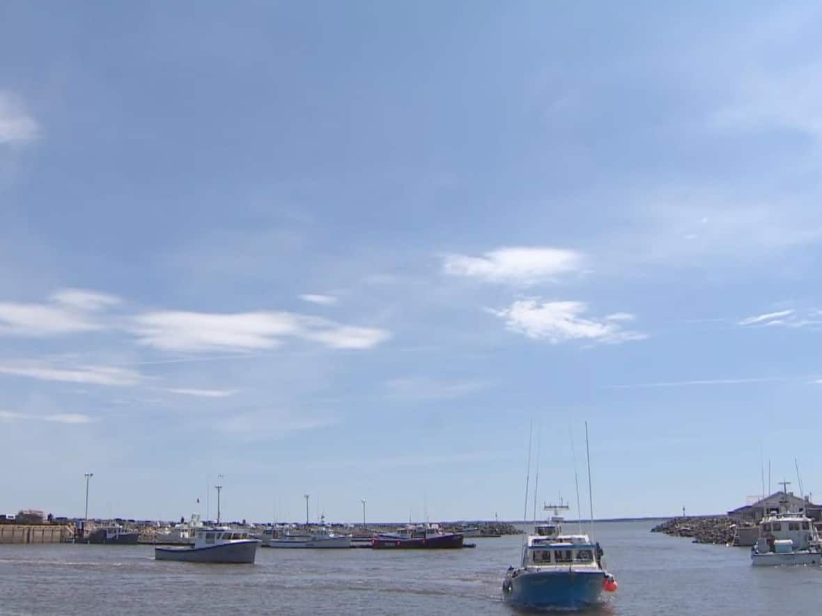 Two lobster fishermen died after falling overboard Saturday morning in the waters near Miscou Island. (Ed Hunter/CBC - image credit)