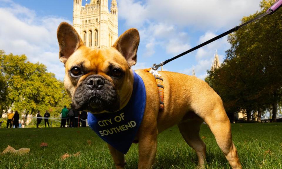 <span>Photograph: David Parry/PA</span>