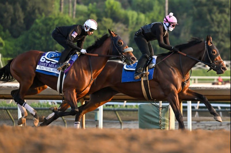 Practical Move works in company Sunday in preparation for the Breeders' Cup Dirt Mile. Photo by Carlos Calo/Eclipse Sportswire, courtesy of Breeders' Cup