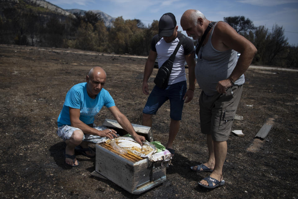 Ilias Hapsas, a 44-year-old beekeeper, left, inspects a scorched beehive in Acharnes suburb, on Mount Parnitha, in northwestern Athens, Greece, Sunday, Aug. 27, 2023. More than 600 firefighters, including reinforcements from several European countries, backed by a fleet of water-dropping planes and helicopters were battling three persistent major wildfires in Greece Sunday, two of which have been raging for days. (AP Photo/Michael Varaklas)