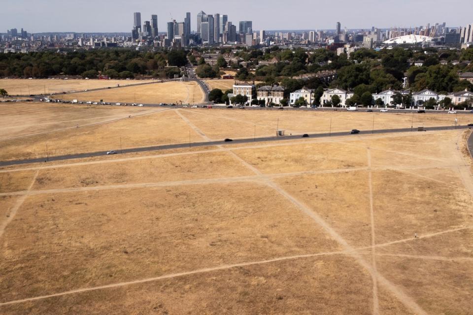 It comes as a drought is expected to be declared for some parts of England on Friday (Aaron Chown/PA) (PA Wire)