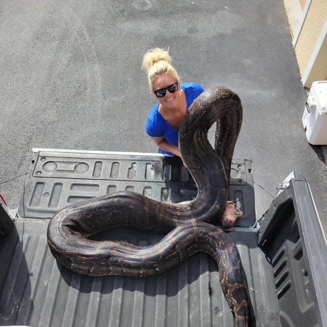 Python hunter Amy Siewe poses with what has been recorded as the second heaviest Burmese python caught in the state of Florida. It was caught on Nov. 3, 2023 in the Big Cypress National Preserve. The python was caught by conservationist Mike Elfenbein.