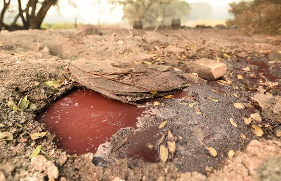 A pool of wine boils beneath debris from the fire at Paradise Ridge Winery.