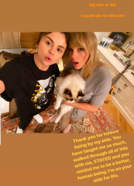 seflie of the two with taylor's cat