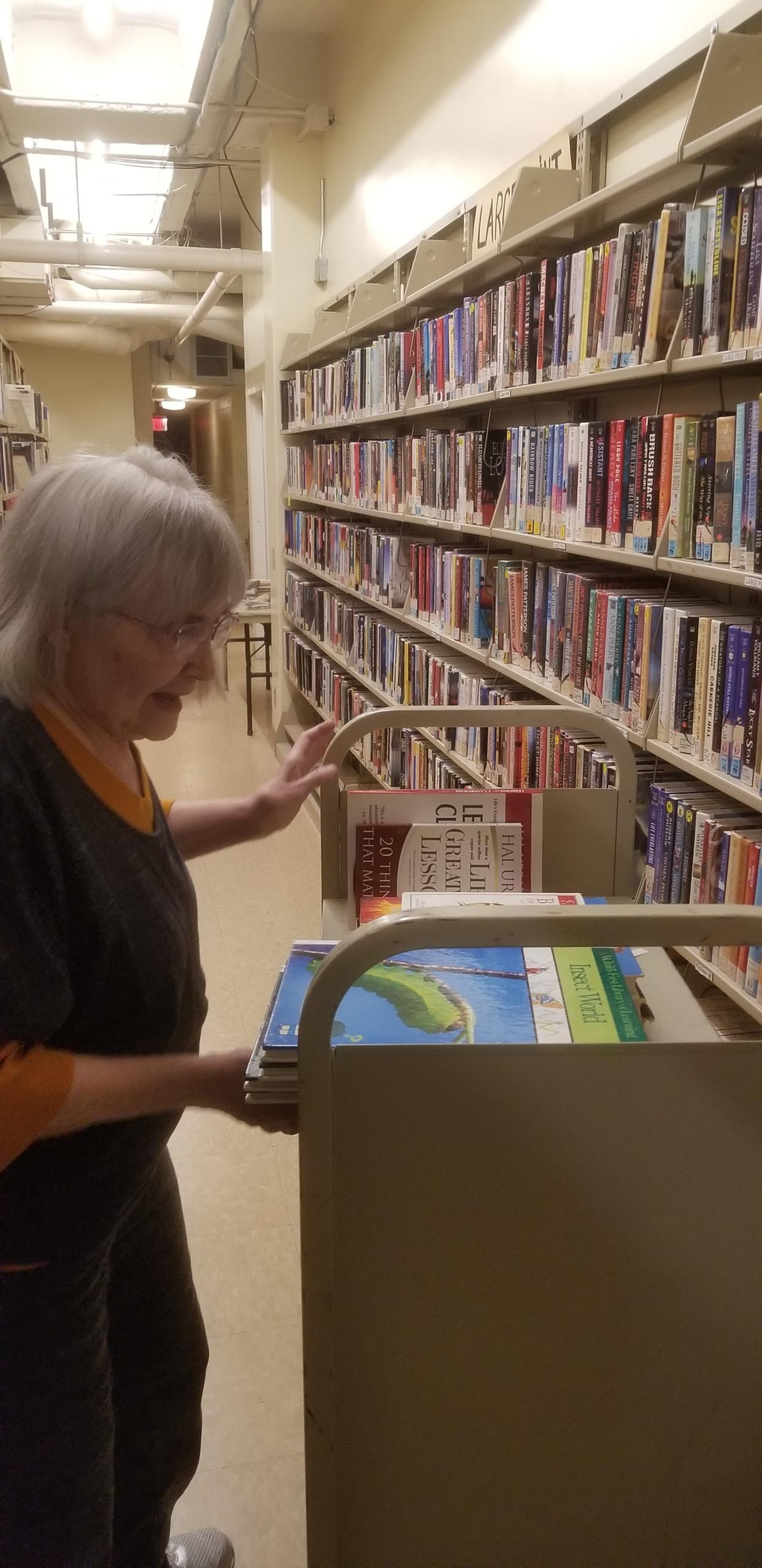 Alice Finley add more books to the shelves for the Wooster Friends of the Library annual Spring Book Sale on March 14, 15 and 16.