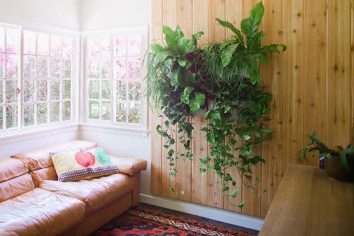 Living Wall Planter