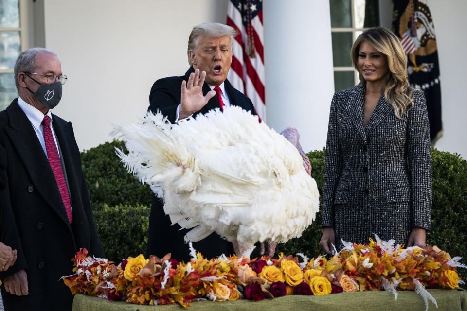 2020: Thanksgiving