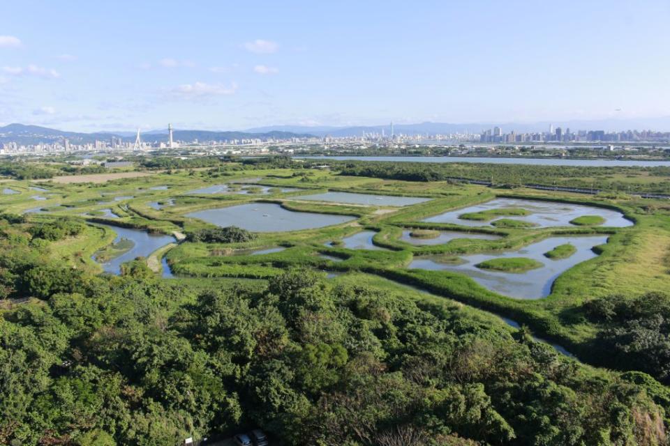 關渡自然公園擁有豐富的生態與濕地環境，邀請民眾親近大自然。（北市動保處提供）