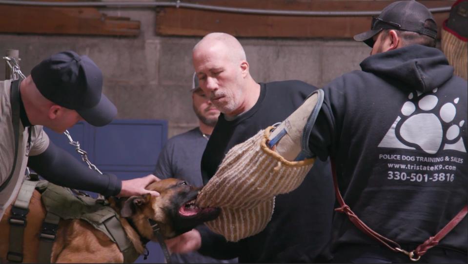 A man touching a patrol dog's head while the dog bites a bite sleeve.