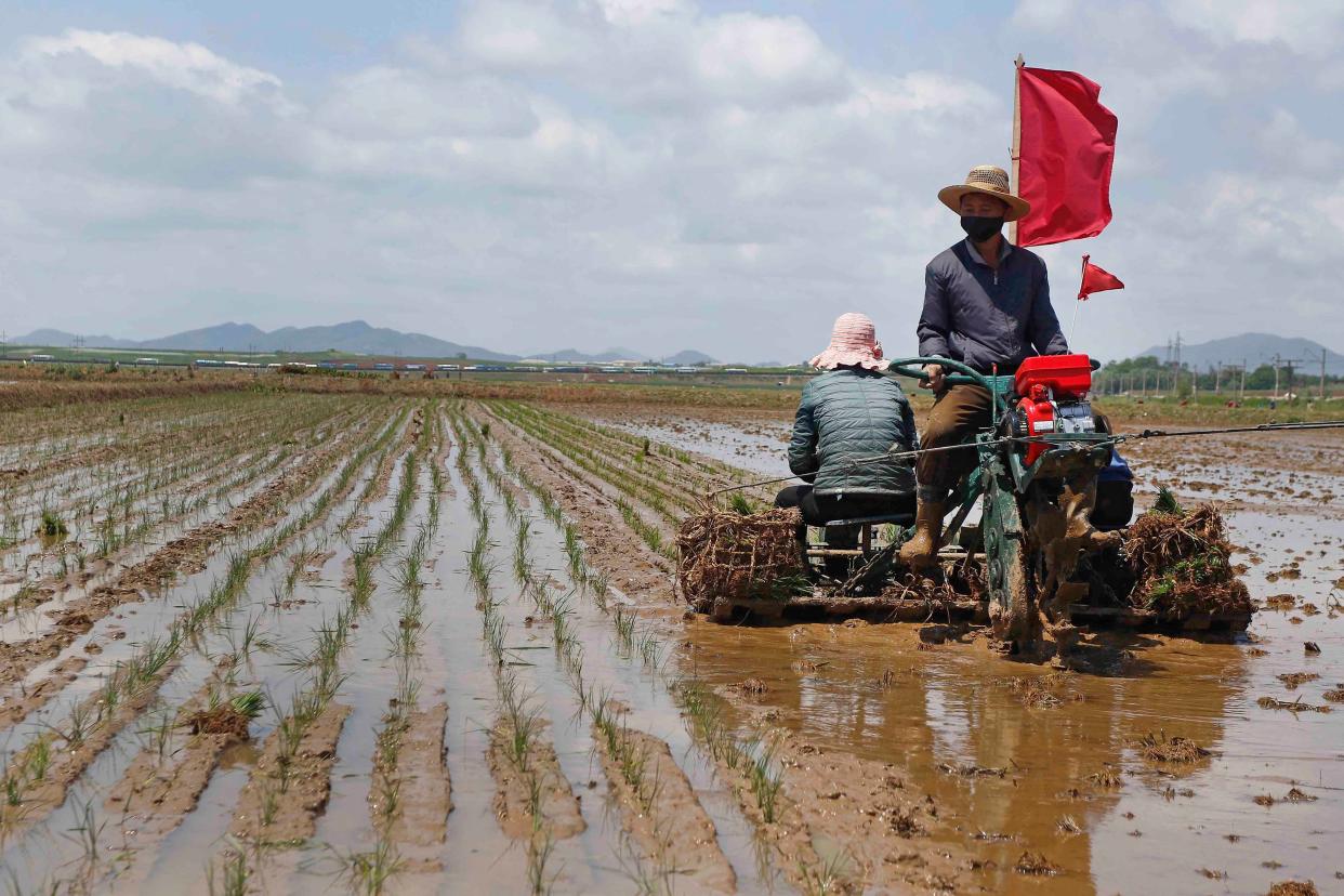 North Korea Food Shortage (Copyright 2021 The Associated Press. All rights reserved.)