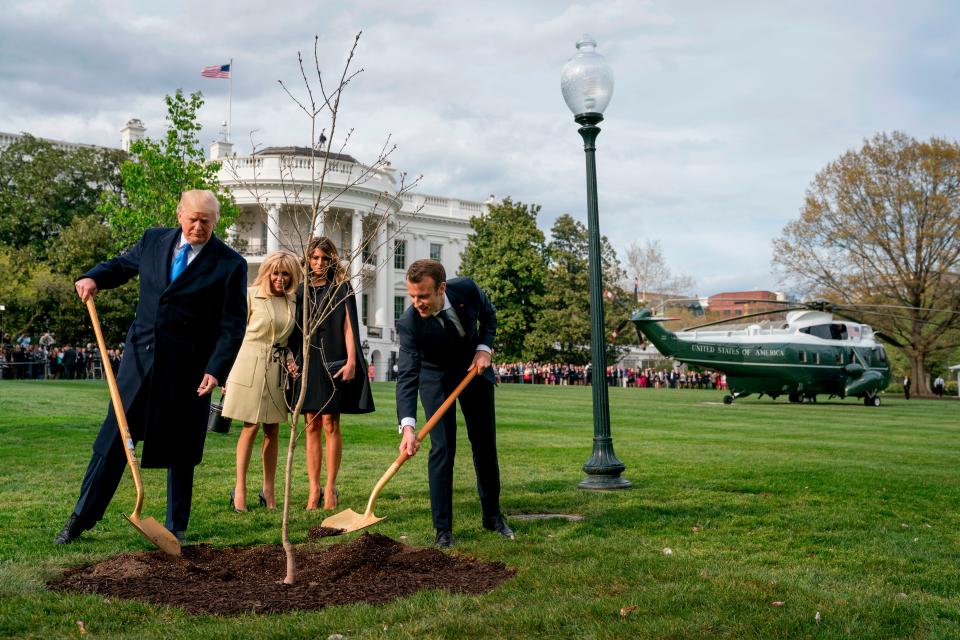 FILE- In this April 23, 2018, file photo, first lady Melania Trump, second from right, and Brigitte Macron, second from left, watch as President Donald Trump and French President Emmanuel Macron participate in a tree planting ceremony on the South Lawn of the White House in Washington. The sapling, a gift from Macron on the occasion of his state visit, is gone from the lawn. A pale patch of grass was left in its place. The White House hasn't offered an explanation. (AP Photo/Andrew Harnik, File) ORG XMIT: NYJK112