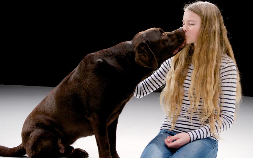 In der Dokumentation "Urvertrauen - das Band zwischen Mensch und Hund" entschlüsselt Daniela Agostini der Ursprung des besonderen Verhältnisses zwischen uns und den Vierbeinern. (Bild: ZDF/Thomas Frischhut)