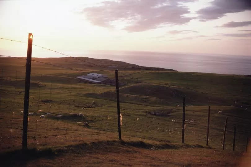 Sheep graze at sunset on the coastal headland of Great Ormes Head