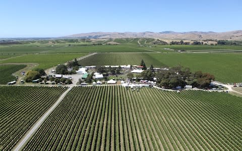 marlborough wine trails in New Zealand