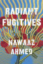 <p>The story of a fractured family — Seema lives in San Francisco working on Kamala Harris' attorney general campaign, estranged from her parents in Chennai after coming out as a lesbian — is told by the unborn baby of the book's protagonist. Ahmed pulls off the unconventional framing, and the result is irrefutably poignant. (Aug. 3)</p>