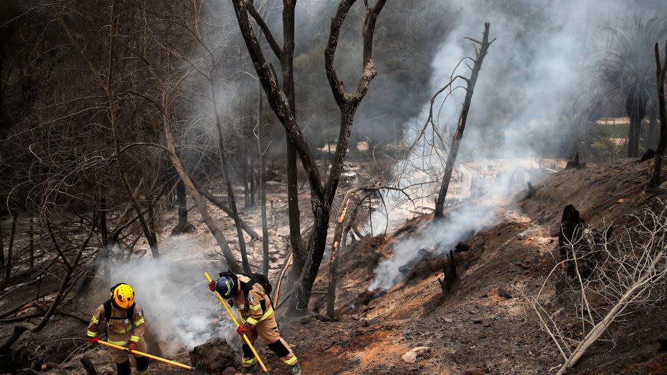 Firefighters at the Botanical Garden in Viña del Mar. - Javier Torres/AFP/Getty Images