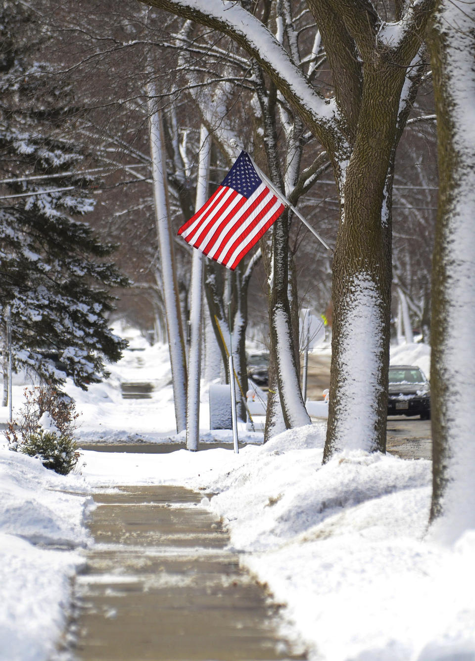 A flag along Dwyer Avenue in Arlington Heights, Ill. creates a stark contrast to the snow after a winter storm Wednesday, March 12, 2014. (AP Photo/Daily Herald, Bob Chwedyk) MANDATORY CREDIT, MAGS OUT, TV OUT