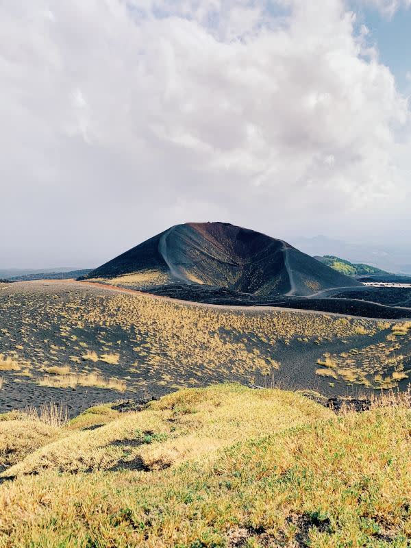 <p>Courtesy of Unsplash | Photo by Anastasiia Rozumna</p><p>That was my first thought when I stepped into a vineyard owned by Feudo Maccari, on Mt Etna in Sicily. Unlike vines in much of the world that are trellised, whose branches extend horizontally from their trunks like arms linking one to another, these Nero d’Avola vines on Etna grow as self-standing individuals. Row after row, like troops of soldiers in formation, each vine aligned with its own wooden post for support to keep it upright.</p><p>I hadn’t ever seen anything like it, in person and up close. Which is maybe why my first impression – soldiers – was entirely wrong.</p><p>I reconsidered. I walked further into the vineyard. I stood still. I looked from vine to vine, and felt the very (very) odd sensation that I was looking person to person, and eye to eye. I shivered. Most of the vines were about as tall as I am, with a few a little taller, and a few a little shorter. At eye level, at this time of year, what you see is the foliage, the green leaves of the vine that provide shade for the bunches of grapes that would be tucked within and underneath the leaves’ protective cover. (It’s just post-harvest, so there was not much fruit to be found still on the vines.) It’s windy on Etna, and the leaves swayed and quivered in the sun.</p><p>It felt welcoming. Not militaristic or soldierly at all. The vines, about as tall and broad in their shoulders as I am, seemed somehow approachable. It made me want to step up to it, to a “vine person,” and start a conversation. I wanted to ask about their lives, and what it was like to live there, on Mt Etna, year after year and in most cases decade after decade, cycling through the seasons and the volatility of that incredibly unique and elementally powerful environment.</p><p>Before I go further, let me pause to say that it might sound a little bit weird to humanize a vine. I am aware that it’s weird to want to start talking to it. I didn’t talk to it, for the record. But I did talk to the people who care for these vines, and asked them what it was like to face them eye to eye, day after day.</p><p>It got playful very quickly. Enrico Bigiarini, Feudo Maccari’s head agronomist, gamely and thoughtfully picked up the metaphor. Quite unlike soldiers, these vines are like grandmothers, he said. Not only are they welcoming, but they are also generous. Not only do you approach them, but you also tell them things. Secrets, even. They have lived hard days, hard decades, hard lives, with the gnarled bones and rough-to-the-touch skin to show for it. Those wooden posts to hold each vine upright are much like a grandmother’s cane.</p><p>And at the end of the visit, what does a grandmother give a child? </p><p>Candy.</p><p>My favorite “candies” from Feudo Maccari – not in the sense of being sweet on the palate, but in the sense of gifts from these vine people – are the 2019 Saia (made with Nero d’Avola grapes), the 2022 Animalucente (comprised of 85 percent Carricante and 15 percent Minnella grapes) and, on the lighter side, the 2022 Family and Friends and the particularly special 2022 Rosé di Neré.</p>