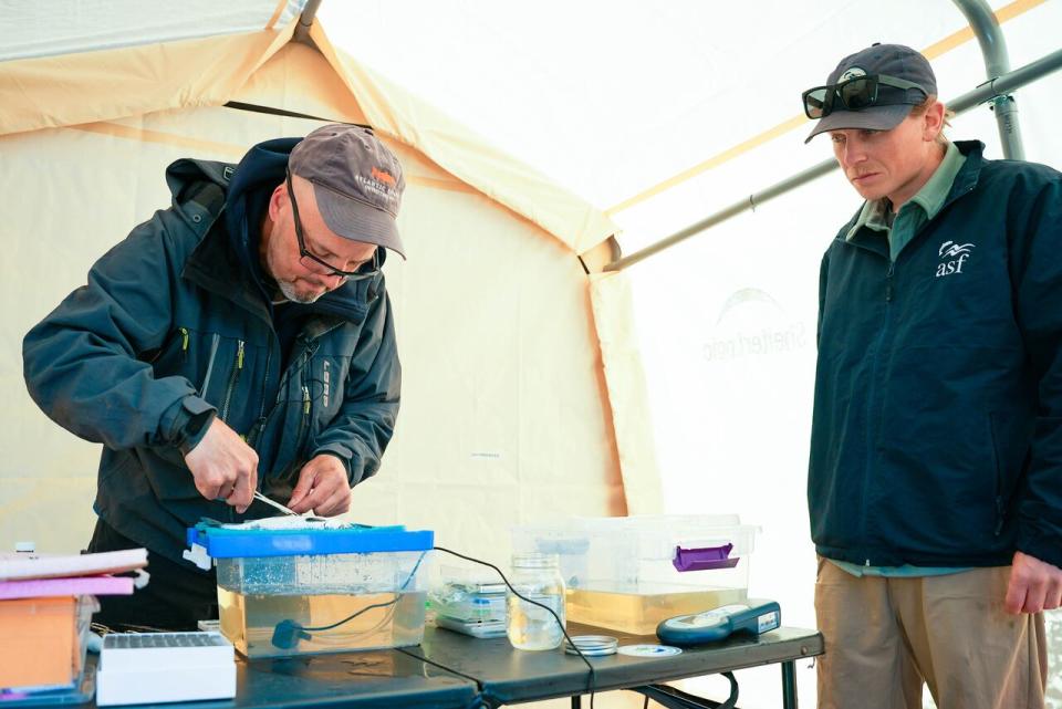 Curtis Pennell, left, a biologist with DFO, and Jordan Condon science co-ordinator with the Atlantic Salmon Federation, are seen in the riverside surgery set up in Glovertown.