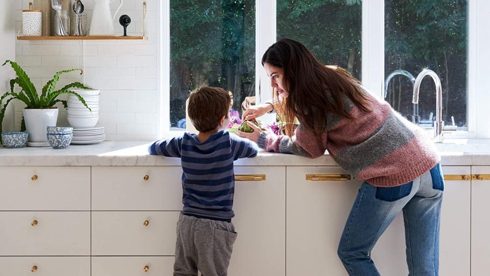 Google Nest Cam Indoor - Credit: Google/Amazon