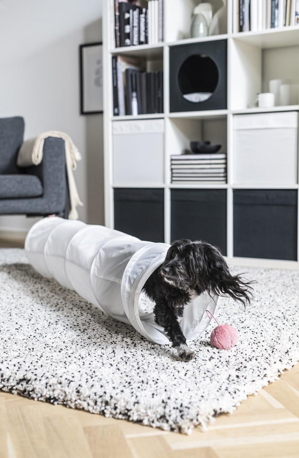 Ikea's New Pet Collection Is Ridiculously Cute