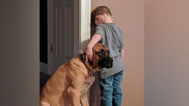 PHOTO: Jillian Smith of Norwalk, Ohio, shared the image last month of her son Peyton and their English Mastiff, Dash, onto Facebook where it''s been shared 43,000 times. (Courtesy Jillian Smith)