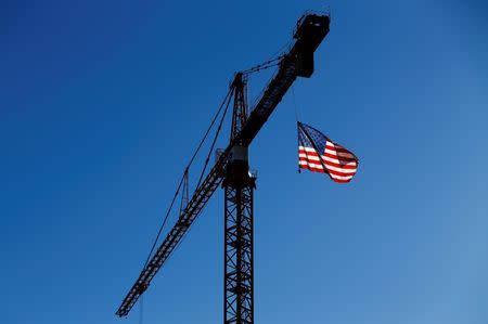 A crane flies an American flag over a construction site in downtown Los Angeles, California October 29, 2014. REUTERS/Mike Blake