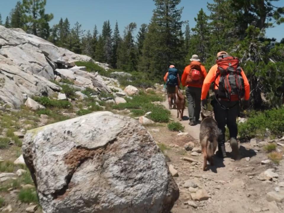 Officials used dogs to try and track down the missing hikers (Placer County sheriff’s office)