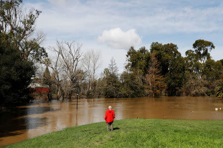 A man watches an overflowed Coyote Creek from Roosevelt Park in San Jose, California, U.S., February 22, 2017. REUTERS/Stephen Lam