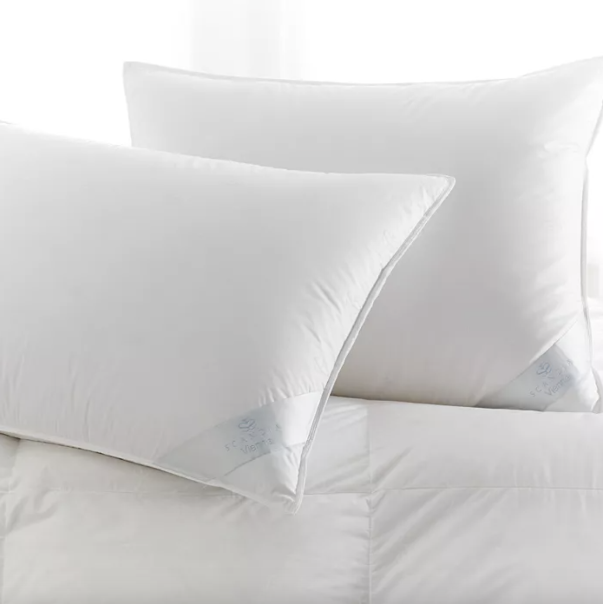 <p><a href="https://go.redirectingat.com?id=74968X1596630&url=https%3A%2F%2Fwww.bloomingdales.com%2Fshop%2Fproduct%2Fscandia-home-vienna-down-pillow-collection%3FID%3D4051829%26CategoryID%3D3865&sref=https%3A%2F%2Fwww.townandcountrymag.com%2Fstyle%2Fhome-decor%2Fg41876726%2Fbest-luxury-pillows%2F" rel="nofollow noopener" target="_blank" data-ylk="slk:Shop Now;elm:context_link;itc:0;sec:content-canvas" class="link rapid-noclick-resp">Shop Now</a></p><p>Vienna Down Pillow Collection</p><p>bloomingdales.com</p>