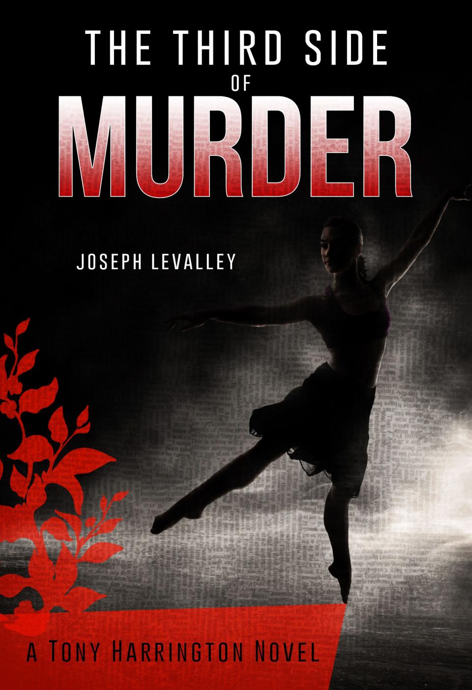 The Third Side of Murder (2021), by Joe LeValley.