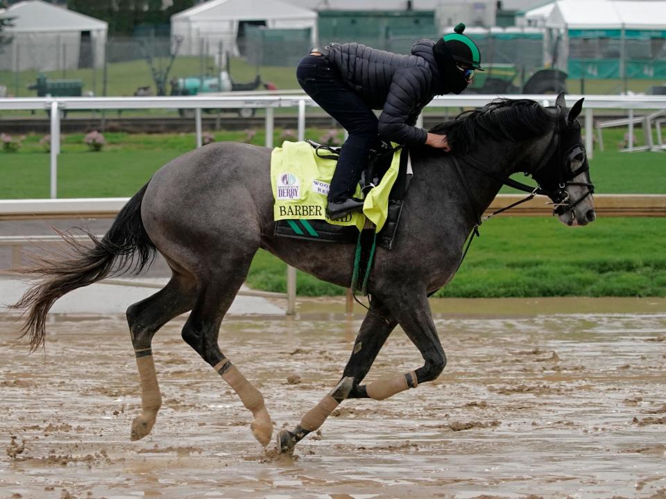 Kentucky Derby entrant Barber Road works out at Churchill Downs.