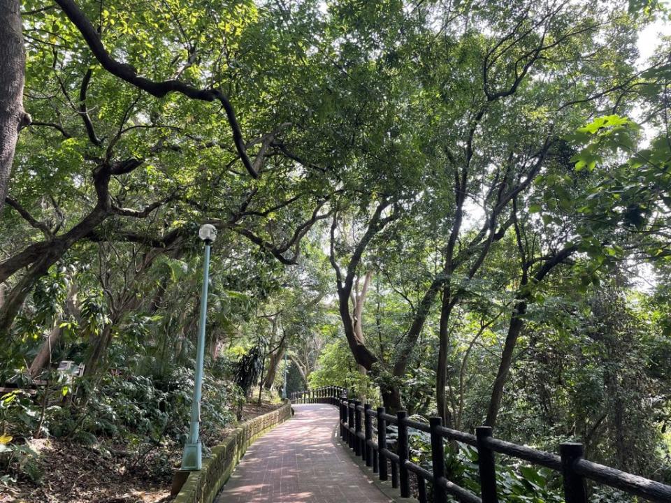 嘉穗公園涼爽舒適的環狀步道。（新北市景觀處提供）