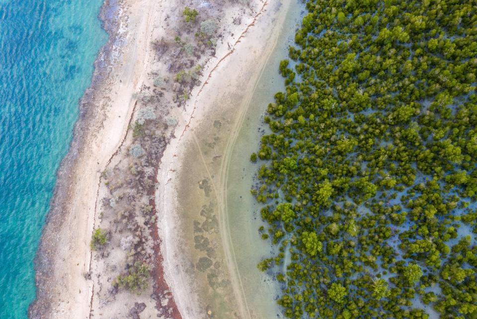 <span class="caption">Mangroves, like these in Madagascar, provide a range of benefits, including protection from storms and the prevention of coastal erosion.</span> <span class="attribution"><span class="source">(Louise Jasper/Blue Ventures)</span>, <span class="license">Author provided</span></span>