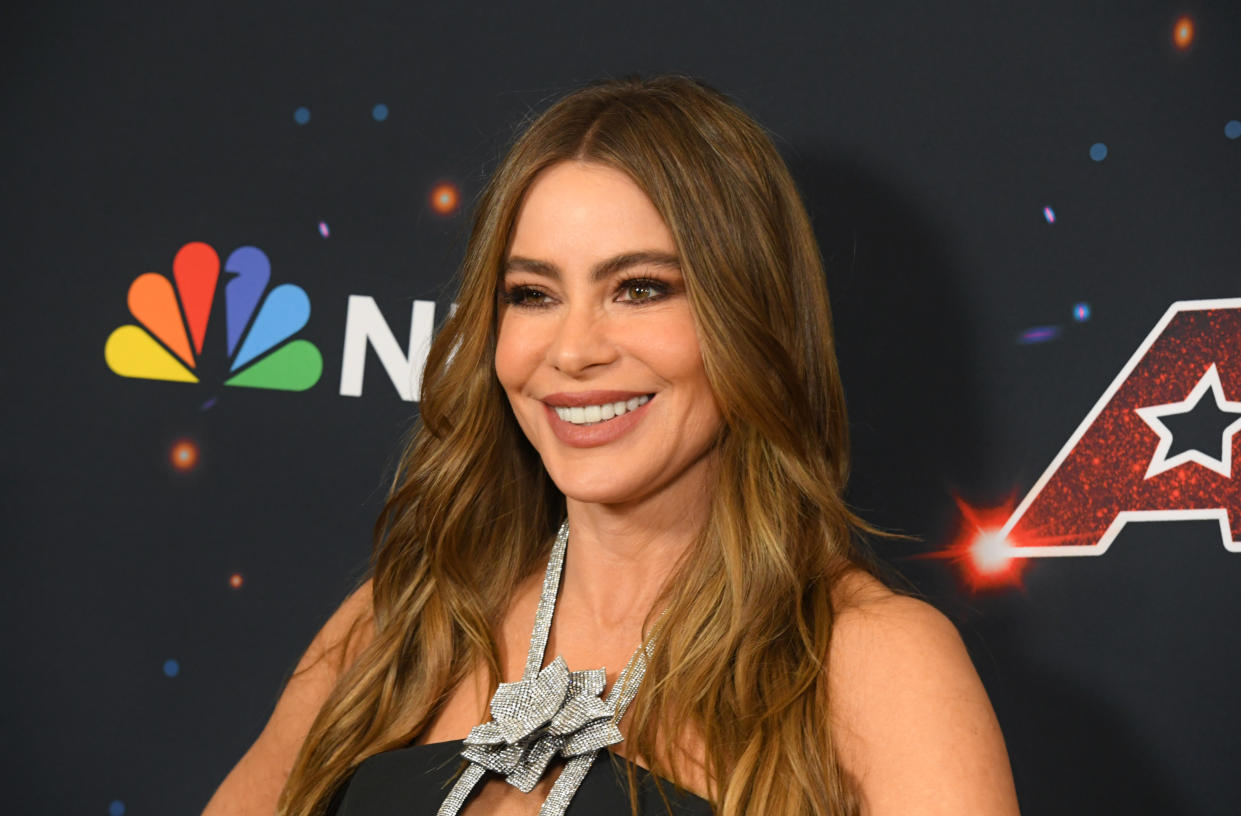 Sofia Vergara évoque la chirurgie esthétique : 