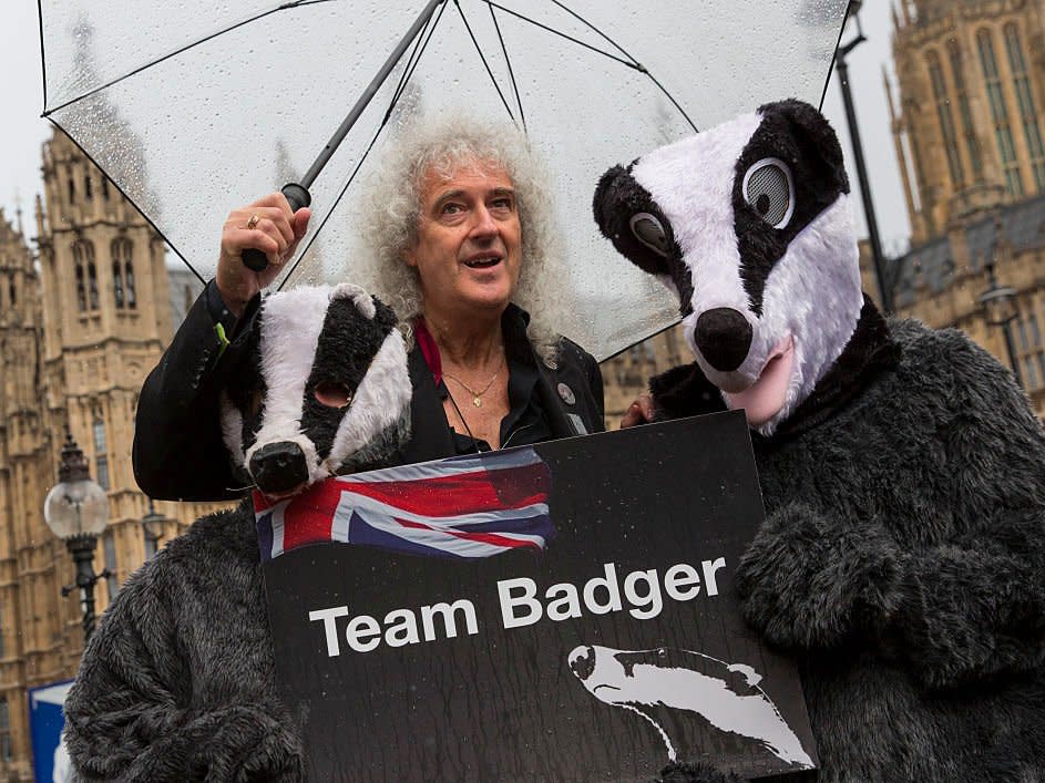 Brian May badgers