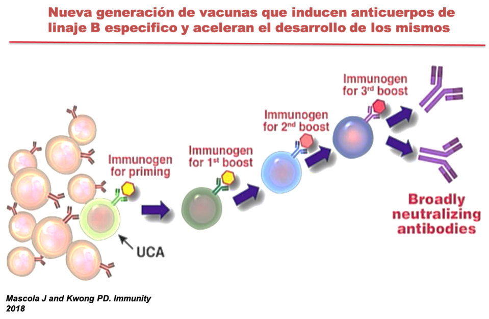 Mascola y Kwong PD. Inmunity 2018