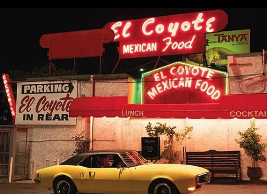 1) El Coyote