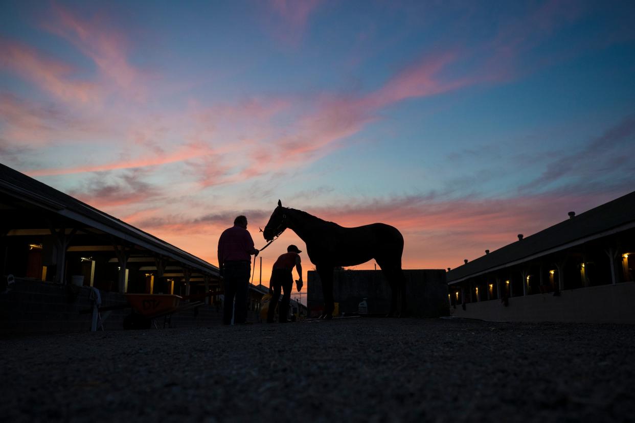 Connie Ann was bathed on the backside of Churchill Downs. The horse is part of the Vance Racing Stable. May 2, 2018.