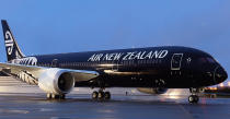 <p>“Gli altri vettori dovrebbero prendere esempio dal servizio clienti eccellente della Air New Zealand” il commento per la seconda classificata. (Credits – Tripadvisor) </p>