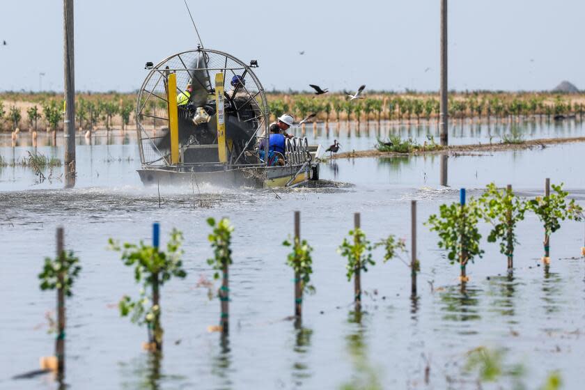 Corcoran, CA, Monday, June 5, 2023 - PG&E crews travel by airboat to decommission power poles on Makram Hanna's flooded pistachio orchard. A breach of the nearby Boyette Levee allowed water to flow from the surging Tulare Lake and flooded hundreds of acres owned by a conglomerate led by Hanna. (Robert Gauthier/Los Angeles Times)