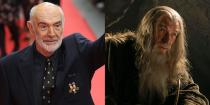 <p>There is a world where Sir Ian McKellen doesn't play Gandalf in <em>The</em> <em>Lord of the Rings</em> and we're really just not okay with that. Apparently the role was supposed to go to Sean Connery. This may be one franchise Connery regrets not being a part of, as the films made over $2.91 billion <a href="https://www.forbes.com/sites/dorothypomerantz/2012/12/13/can-the-hobbit-make-lord-of-the-rings-the-top-franchise-ever/#6d85186b1283" rel="nofollow noopener" target="_blank" data-ylk="slk:in total box office sales;elm:context_link;itc:0;sec:content-canvas" class="link ">in total box office sales</a>.</p>