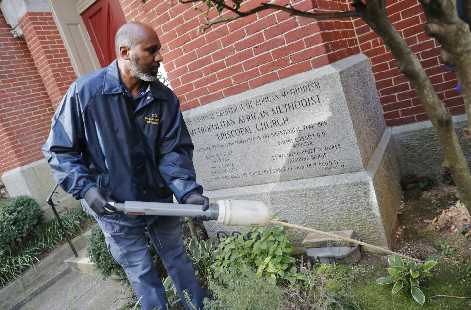 Pest Control Officer Gregory Cornes, from the D.C. Department of Health's Rodent Control Division, uses a duster to pump poison into rat burrows, found on the grounds of Metropolitan African Methodist Episcopal Church in downtown Washington, Wednesday, Oct. 17, 2019. Cornes will pump poison into the burrows and this powder will stick to the paws and fur, when the rats groom themselves, they unwittingly ingest it and die. The nation’s capital is facing a spiraling rat infestation, fueled by mild winters and a human population boom. Washington’s government is struggling to keep pace (AP Photo/Pablo Martinez Monsivais)