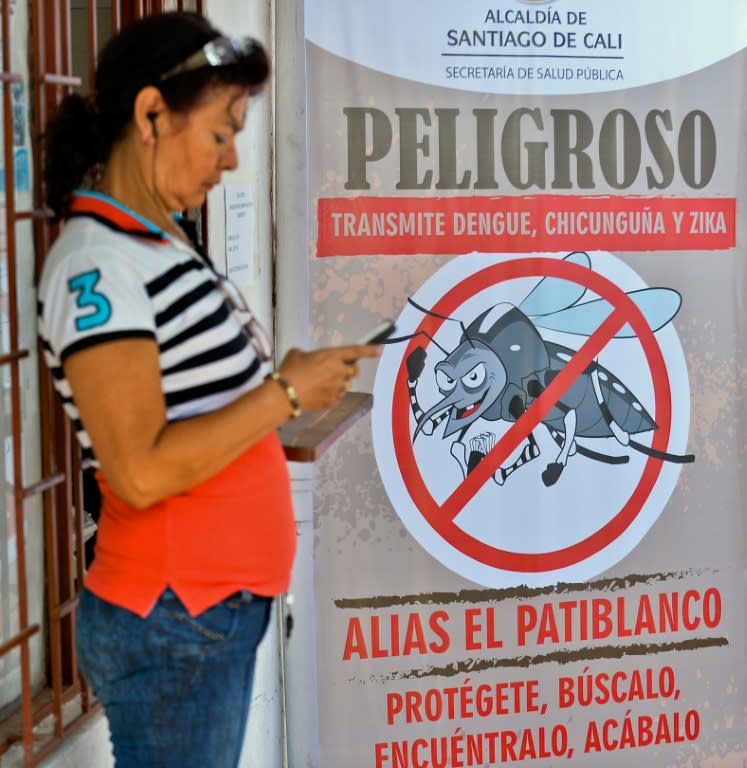 A woman checks her mobile phone next to a poster with information about the Aedes aegypti mosquito on February 10, 2016, in Cali, Colombia